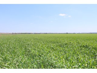 Property photo 25 - OKLAHOMA LAND AUCTION, 550+/- Acres offered in 7 Tracts
